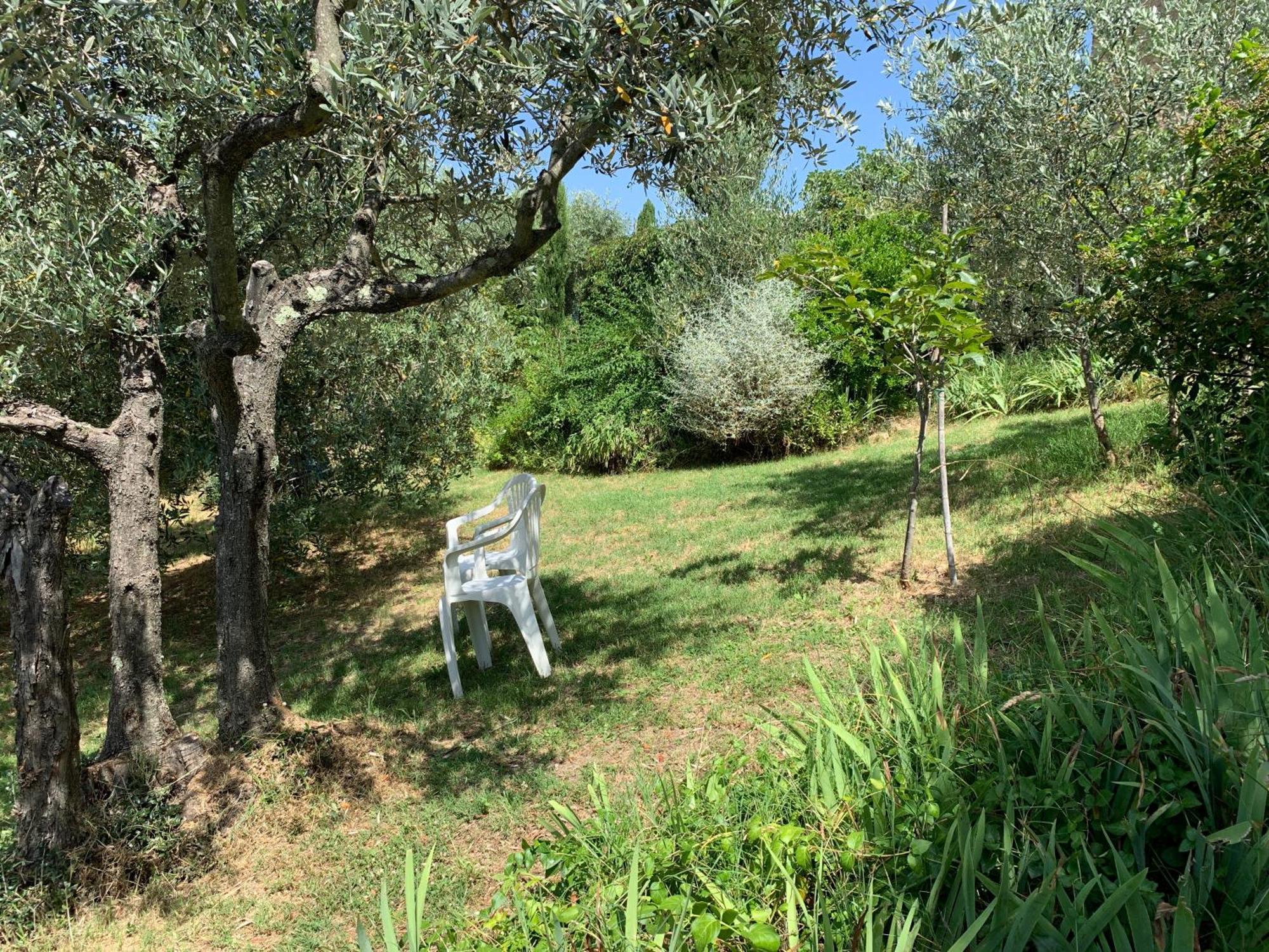 Podere Casallorto 渥尔特拉 外观 照片